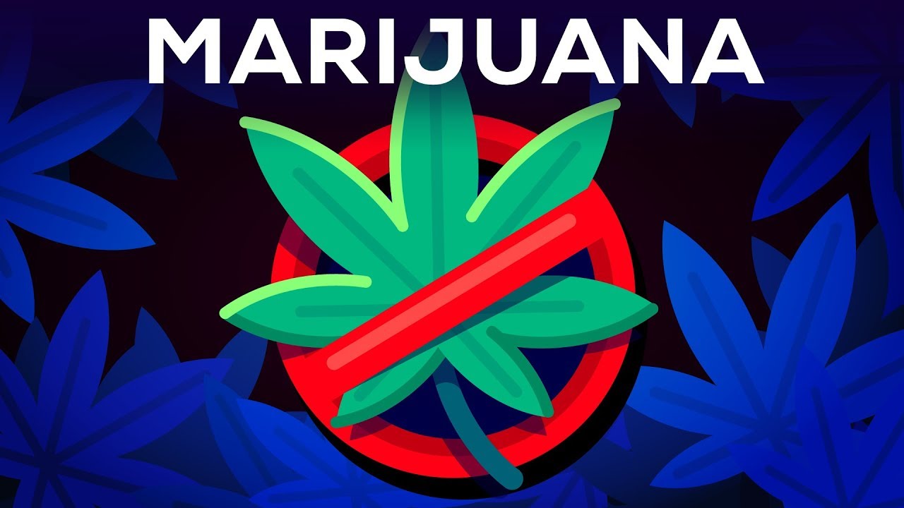 Should Marijuana Stay Illegal?