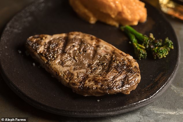 The Worlds First 3D Printed Steak