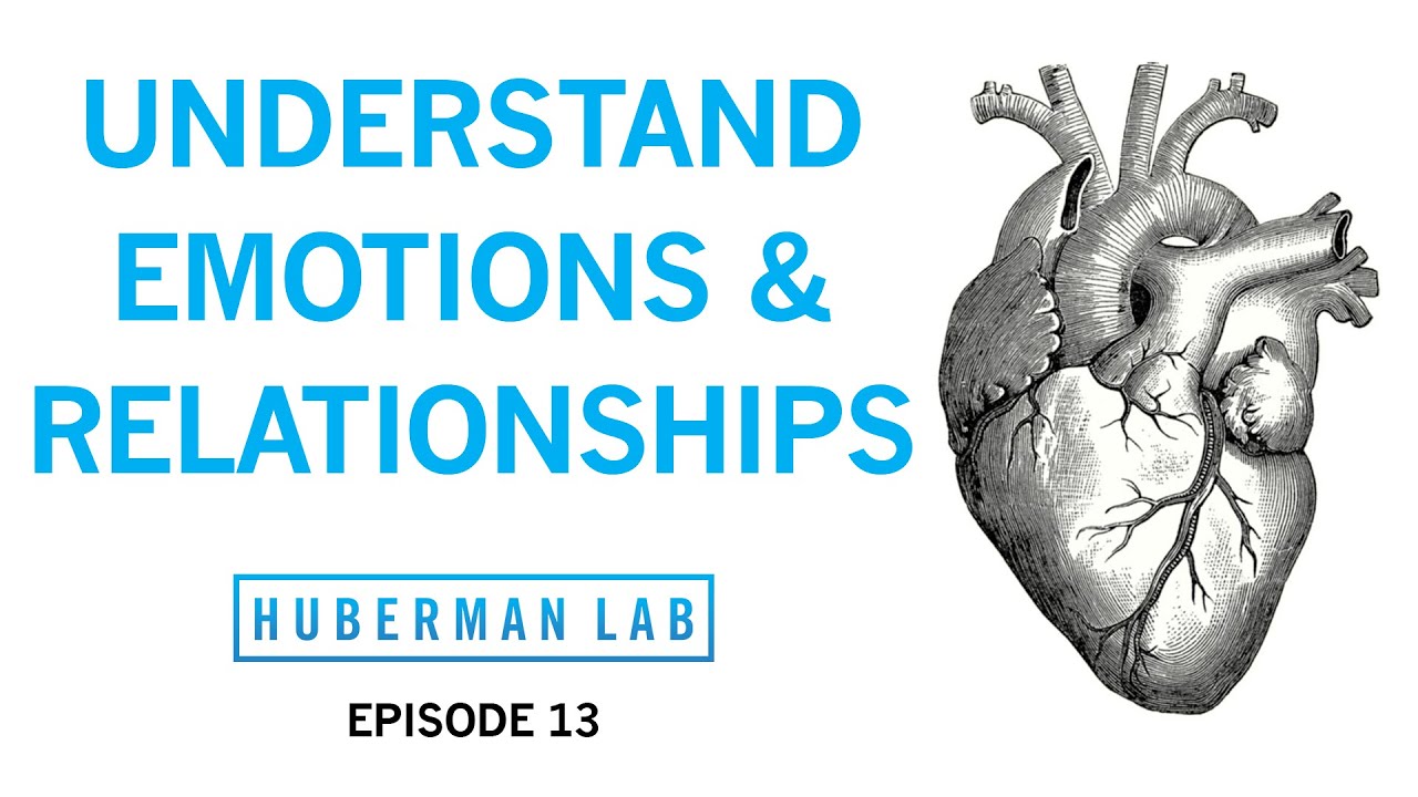 Andrew Huberman On The Science Of Emotions